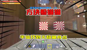 猫为何丢砖块？游戏中揭秘！