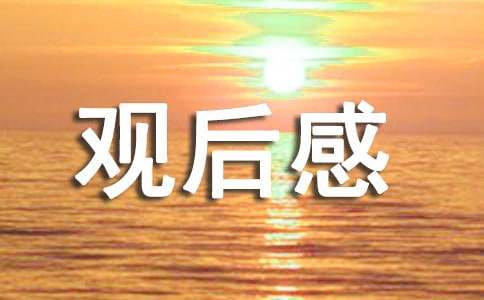 熊出没观后感15篇