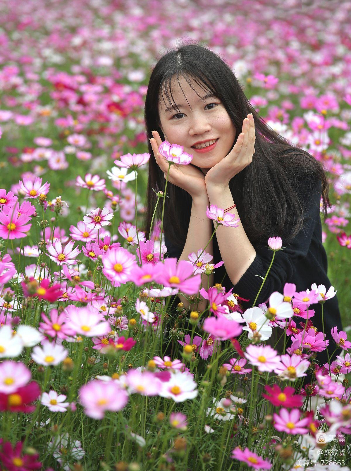 美女草比：令人窒息的花海！