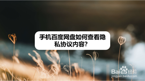 僵33网盘