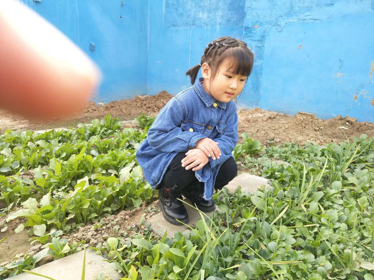手机农场游戏_农场手机游戏策划案_农场手机游戏赚钱