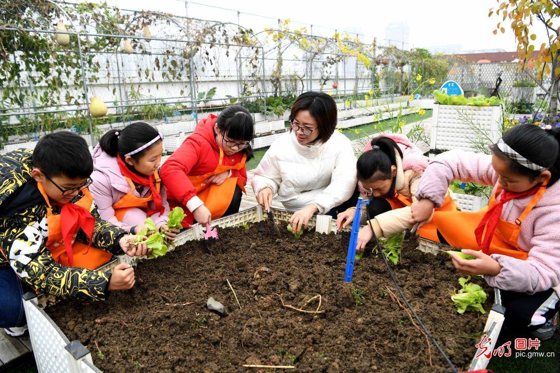 农场手机游戏策划案_农场手机游戏赚钱_手机农场游戏