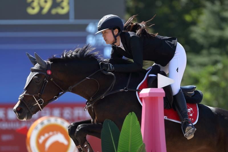 韩国综艺很多人骑马游戏_韩国玩骑马游戏的电影叫什么_韩国美女骑马游戏