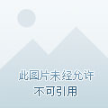独特的美女更衣秀游戏——