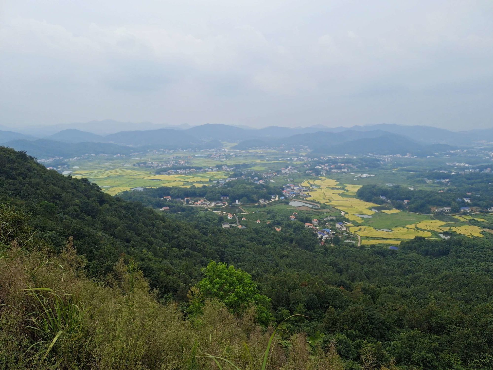 好玩神仙岭游戏叫什么_神仙岭游戏好玩不_好玩神仙岭游戏推荐