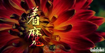 我想看魔鬼的精神_魔鬼的精神讲的什么_魔鬼的精神讲了个啥