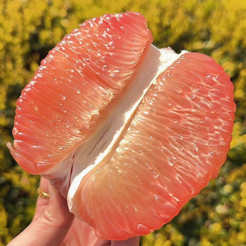 香菱子的图片_香菱子_香菱结局