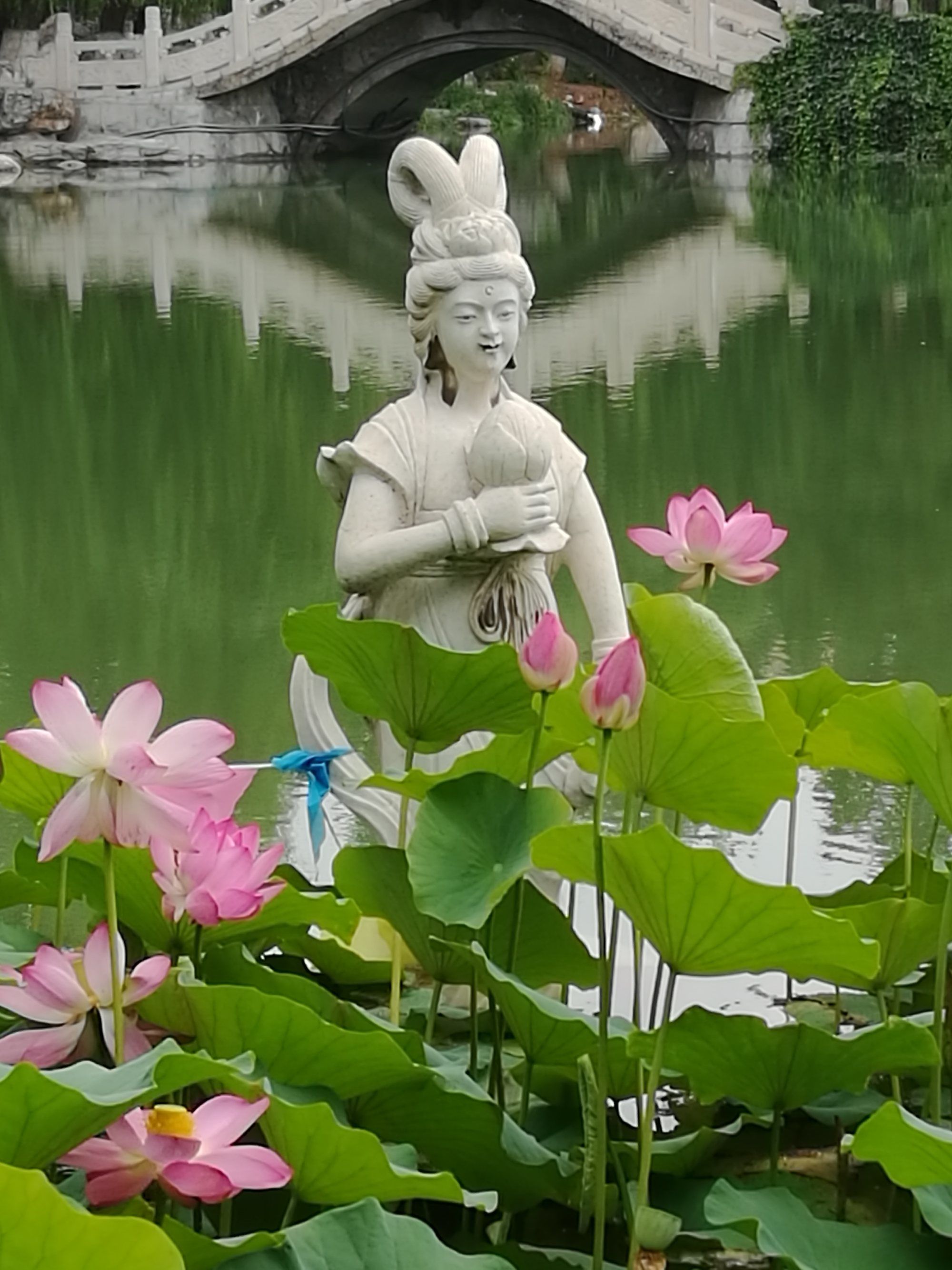 荷取河童_河城荷取thb_河城荷取