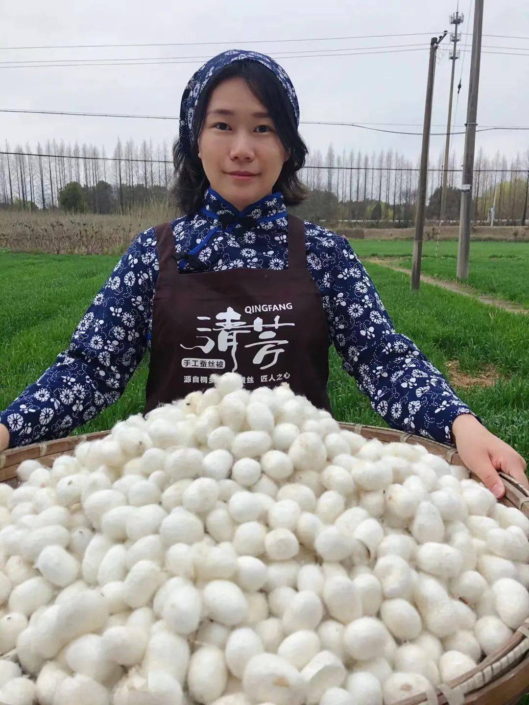 妖刀记马蚕娘_白蚕吃什么会变成彩蚕_美蚕娘
