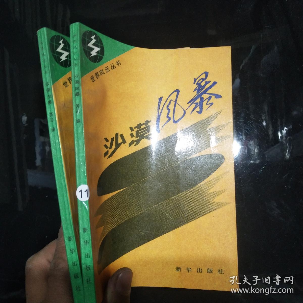风暴沙漠卡特琳娜_风暴沙漠是什么服务_沙漠风暴2