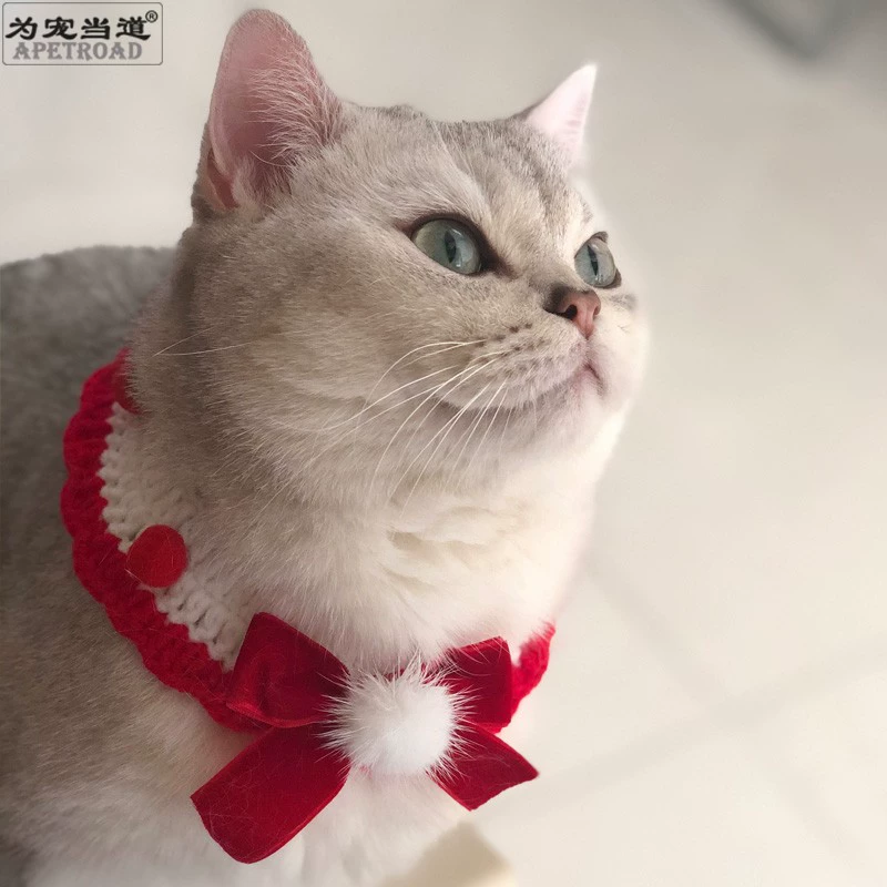 小宝丝带怎么刷_小宝的丝带_小宝丝带掉率