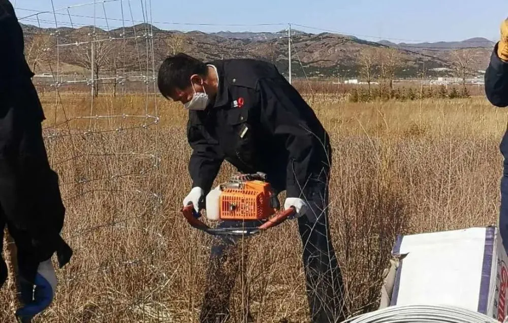 索侦虫_索侦虫_索侦虫