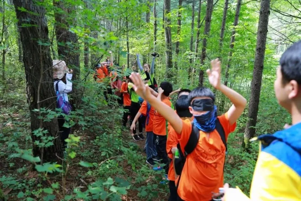 在线游戏小程序_在线游戏小网站_在线小游戏