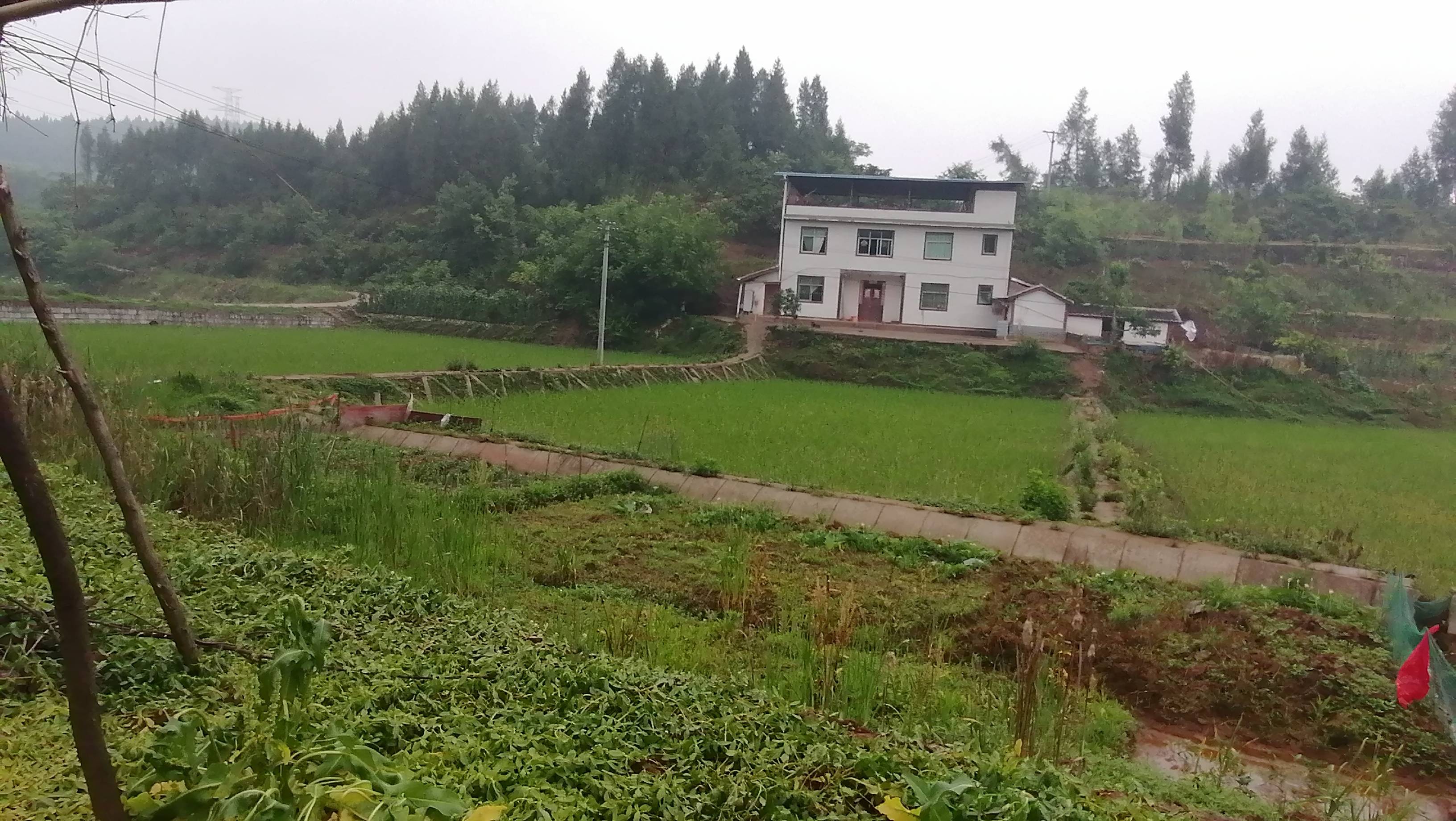 青云子小说_青云子什么实力_青云子