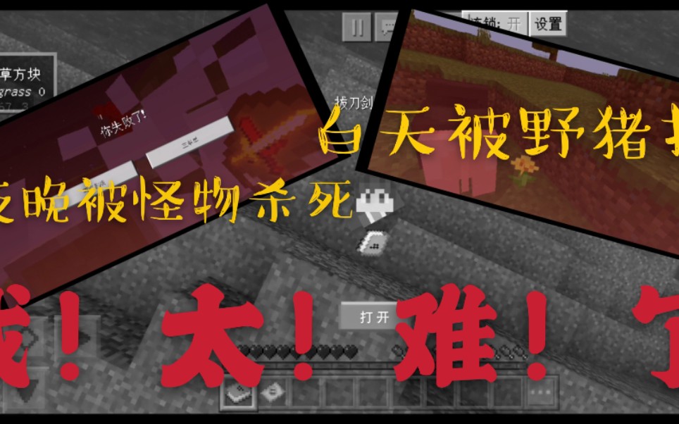 每日生存，迎接新挑战