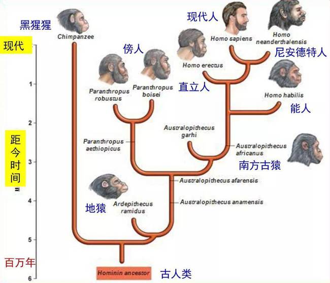 木兰原型_虐杀原形2比林斯利博士在哪里_虐杀原形2木兰汉博士