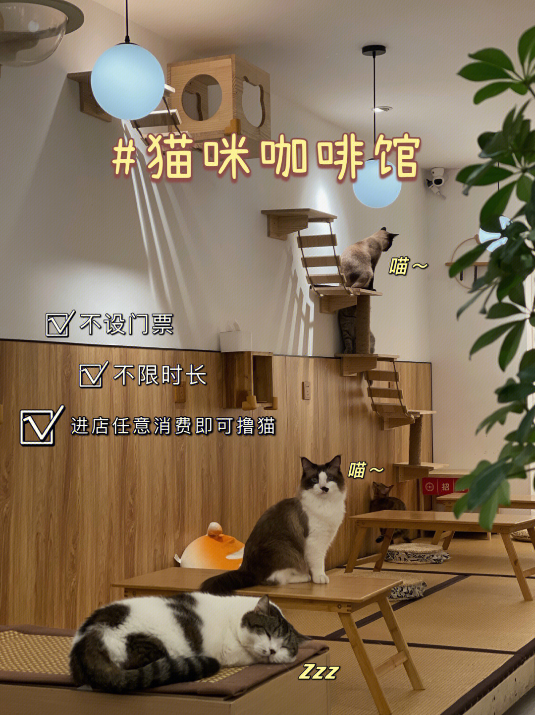小巷里的秘密_小巷里的秘密_小巷里的秘密