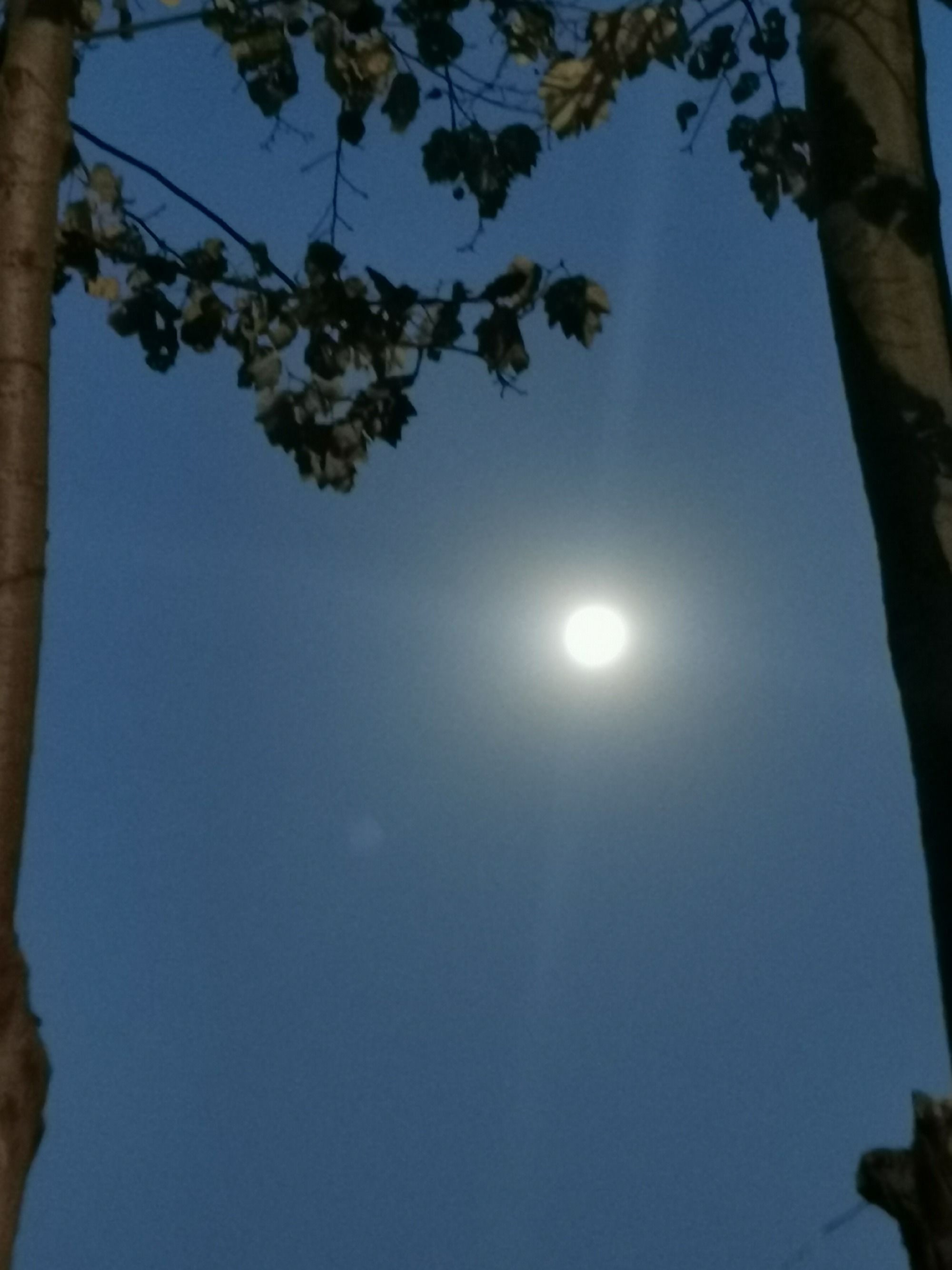 星月日_星月落_星月菩提