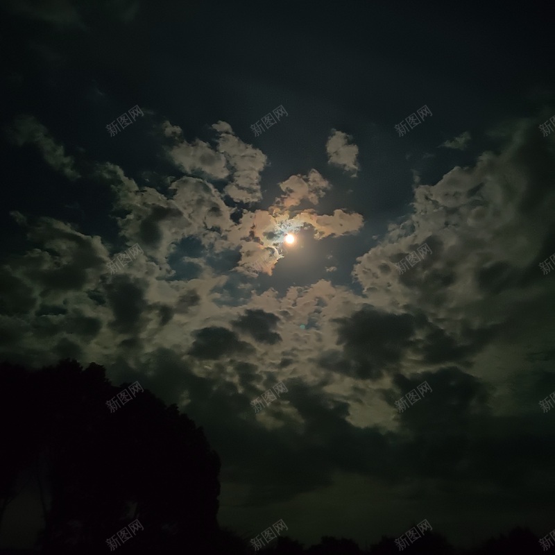 星月落_星月菩提_星月日