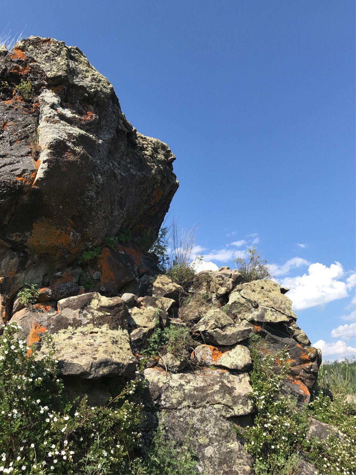 梦幻西游狮驼岭_梦幻西游狮驼岭玩法攻略_2021梦幻西游狮驼岭怎么样