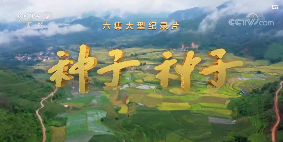 饥荒种地_饥荒种地搭配图_饥荒种地怎么种地
