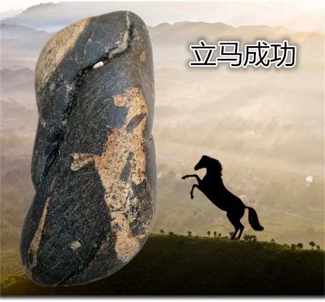 碰碰_碰碰_碰碰
