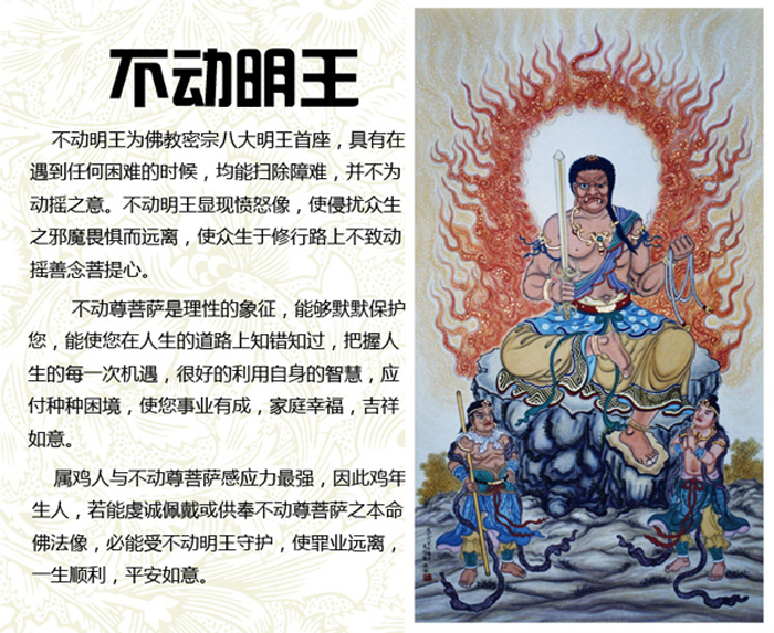 玄龟原型_玄龟的传说_真实的玄龟