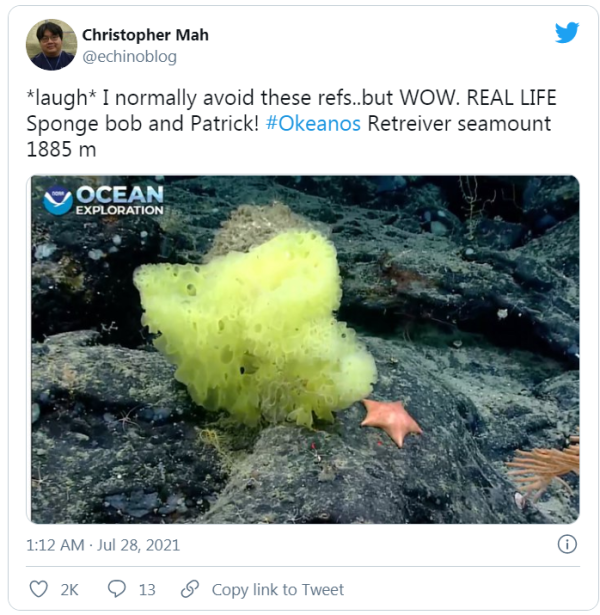 海绵消消看_海绵有消音效果么_海绵清理