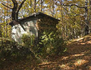 沼泽小屋怎么刷女巫_沼泽小屋_沼泽小屋有什么