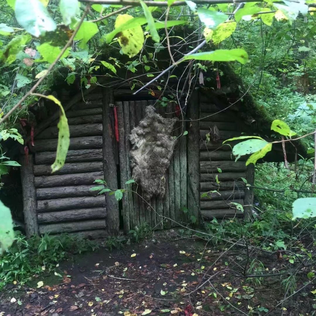 沼泽小屋怎么刷女巫_沼泽小屋_沼泽小屋有什么