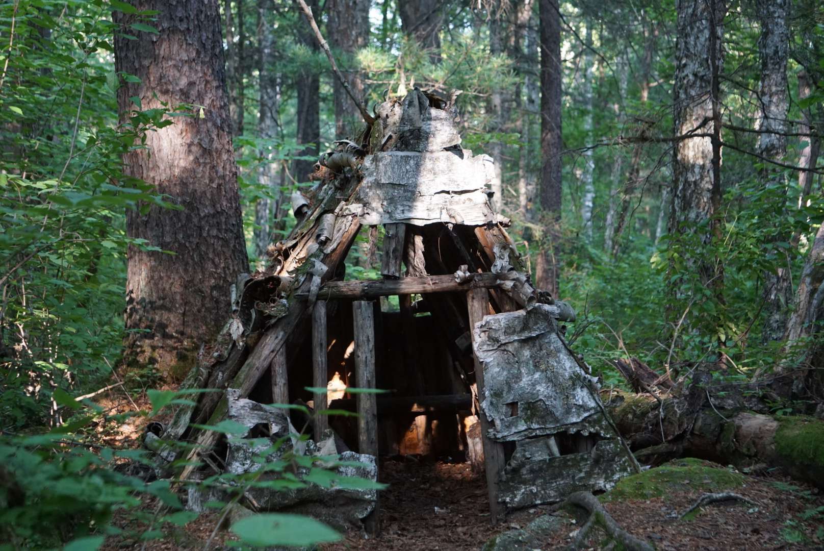 沼泽小屋怎么刷女巫_沼泽小屋有什么_沼泽小屋