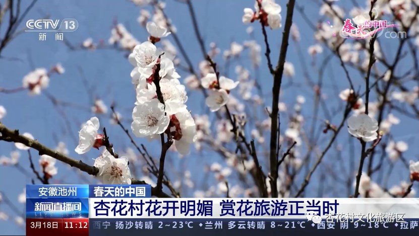 杏花直播app下载进入网址旧版_杏花直播app下载进入网址旧版_杏花直播app下载进入网址旧版