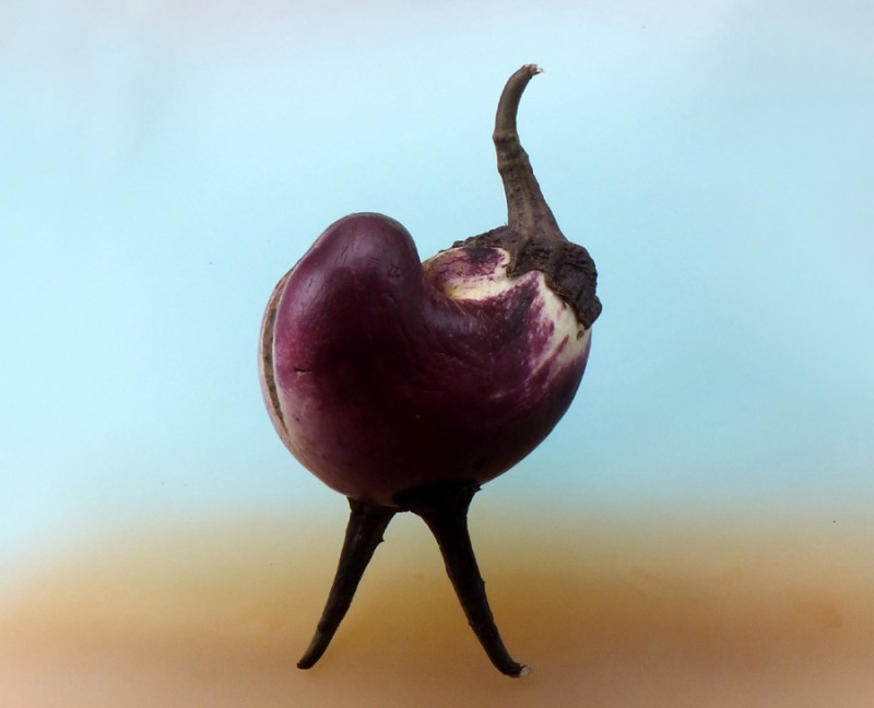 茄子短视频_茄子短视频_茄子短视频