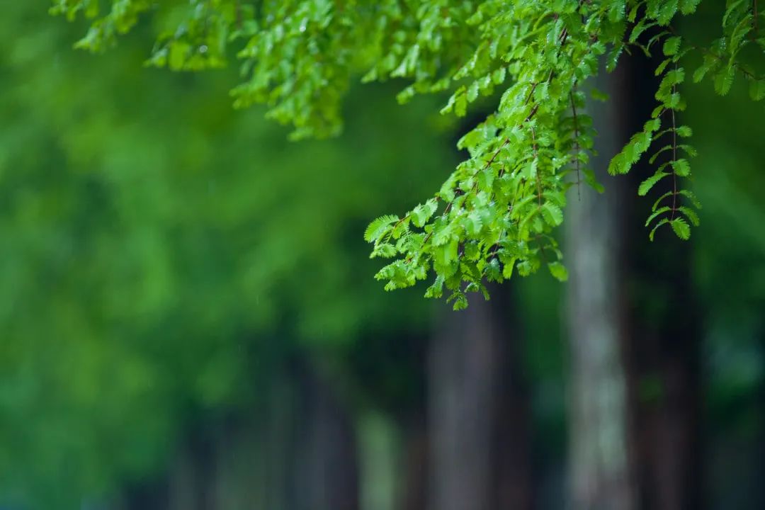 闲玩下载_闲玩_闲玩手游平台