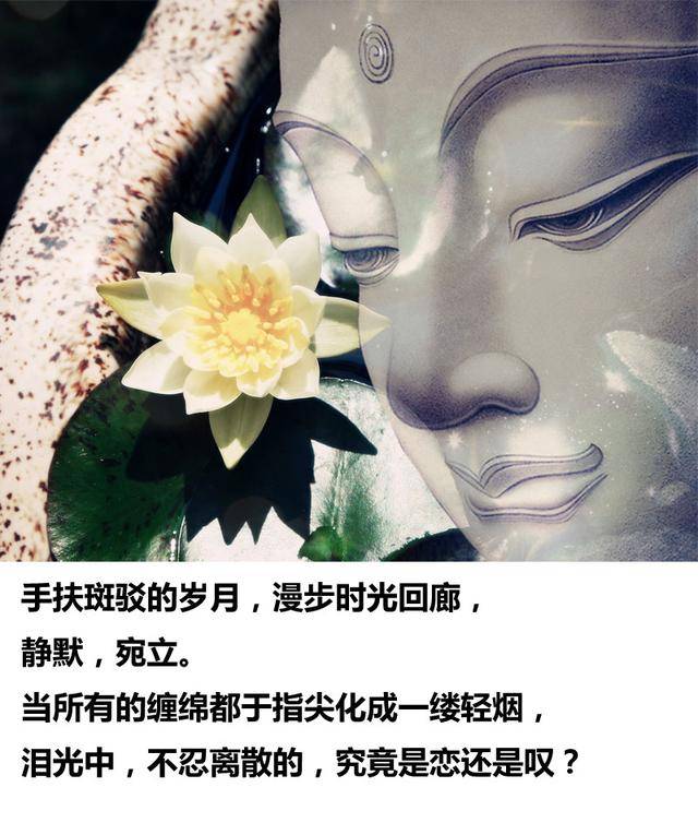 佛系天堂_佛系资源小兵共享_佛系资源