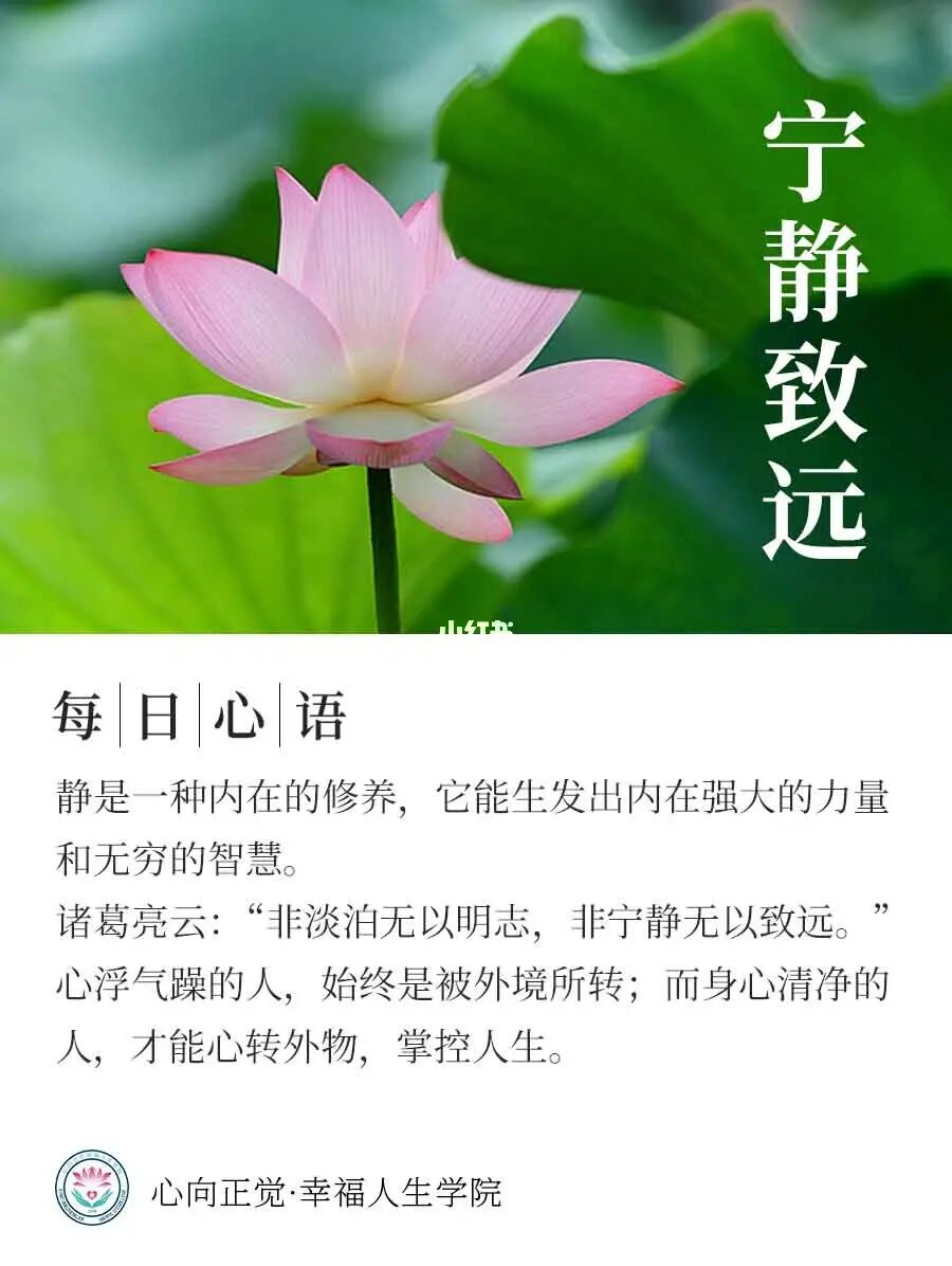 佛系资源_佛系天堂_佛系资源小兵共享