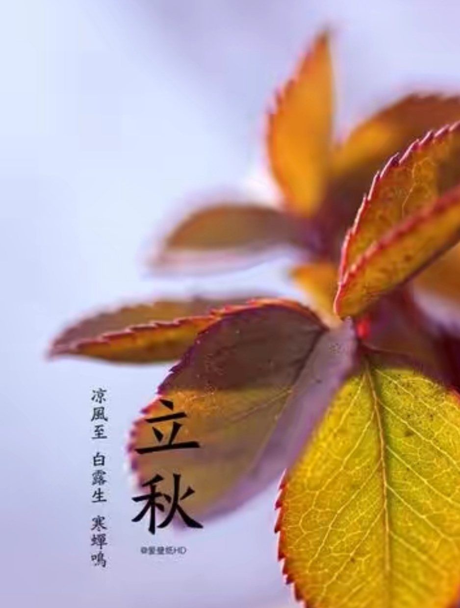 立秋是2021年_2022年立秋是哪天_2021年立秋是什么天气