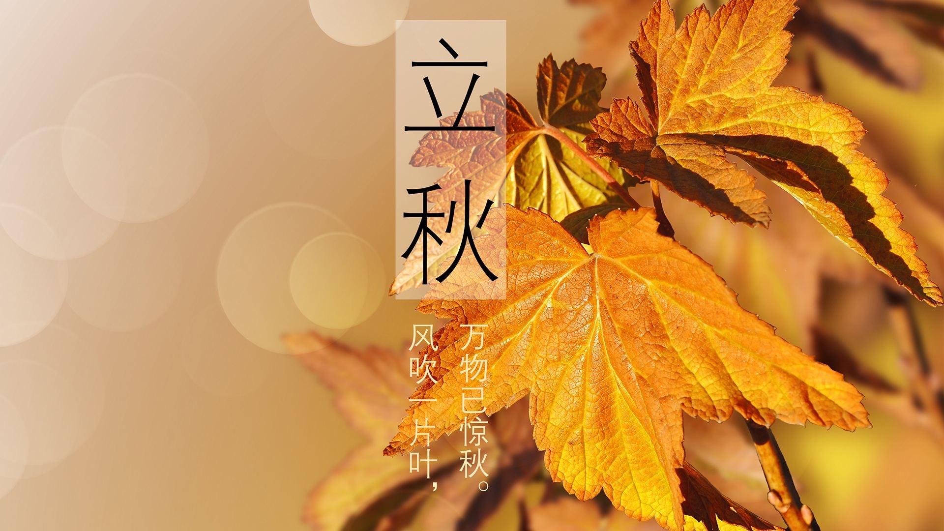 立秋是2021年_2021年立秋是什么天气_2022年立秋是哪天