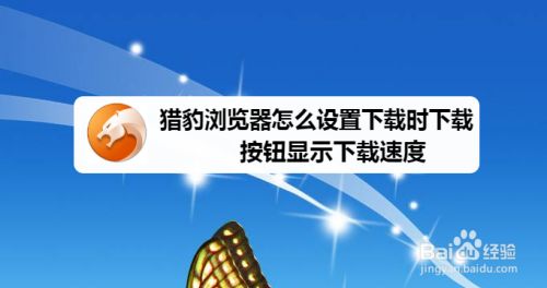 猎豹浏览器下载版手机安装_猎豹浏览器安卓版下载_猎豹浏览器手机版下载