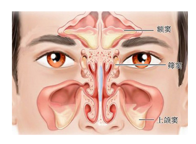 鼻窦炎和玩手机有关系_鼻窦炎玩手机游戏头晕吗_头晕是玩手机游戏导致的吗