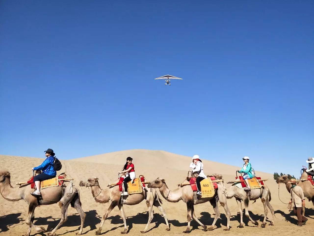 甘肃旅游怎么玩_甘肃旅游太坑了_甘肃旅游视频玩手机游戏