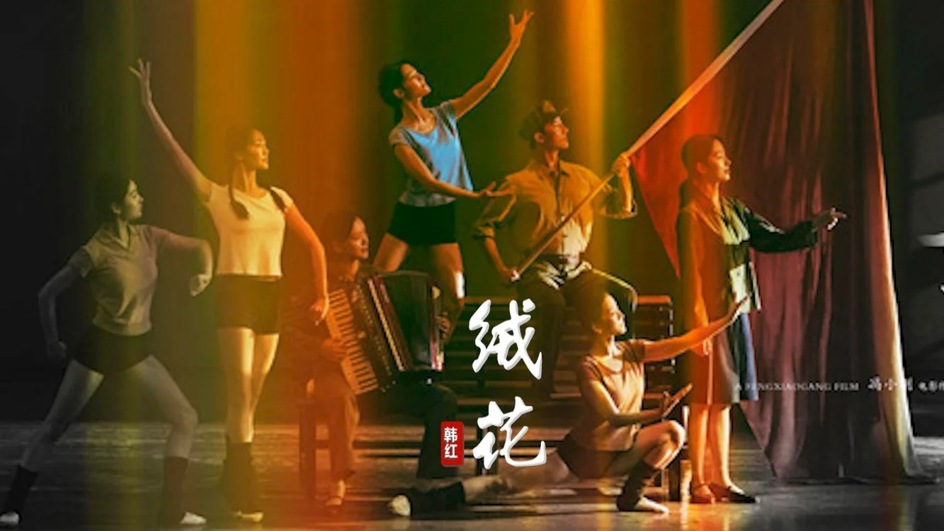 超兽武装片尾曲_超兽武装一直哼的插曲_超兽武装的片尾曲