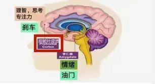 学园催眠_学园催眠_学园催眠