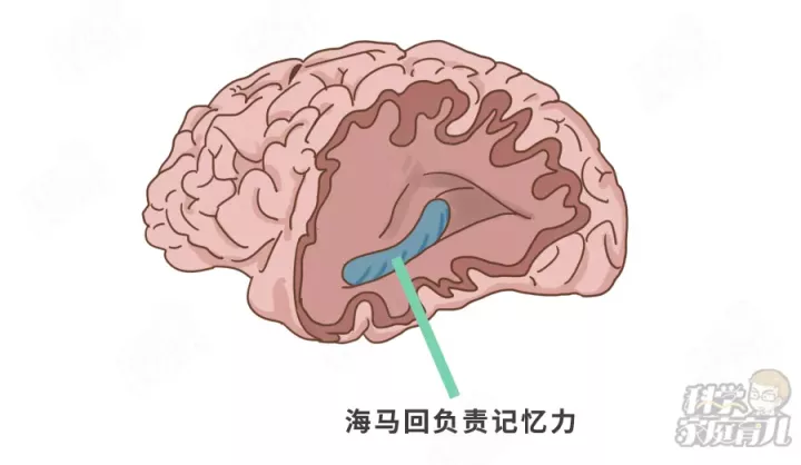 学园催眠_学园催眠_学园催眠