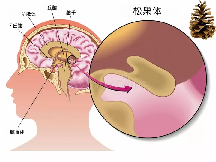 学园催眠_学园催眠_学园催眠