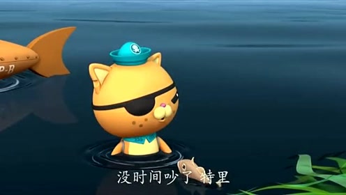 白鲨安卓下载安装_白鲨手机玩游戏怎么样_大白鲨手机游戏