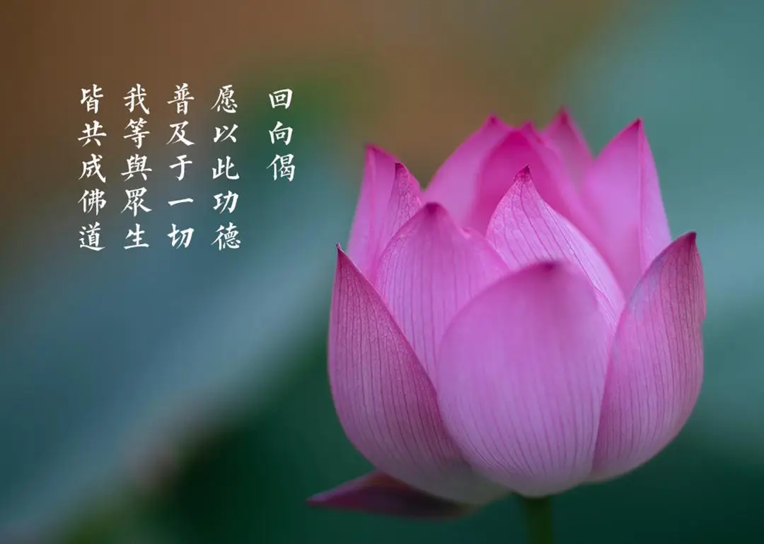 长空是哪部电影里的_长空之王哪里可以免费观看完整版_长空在线听