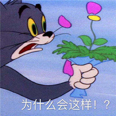 暴走表情包_生气暴走表情包_熊猫暴走表情包