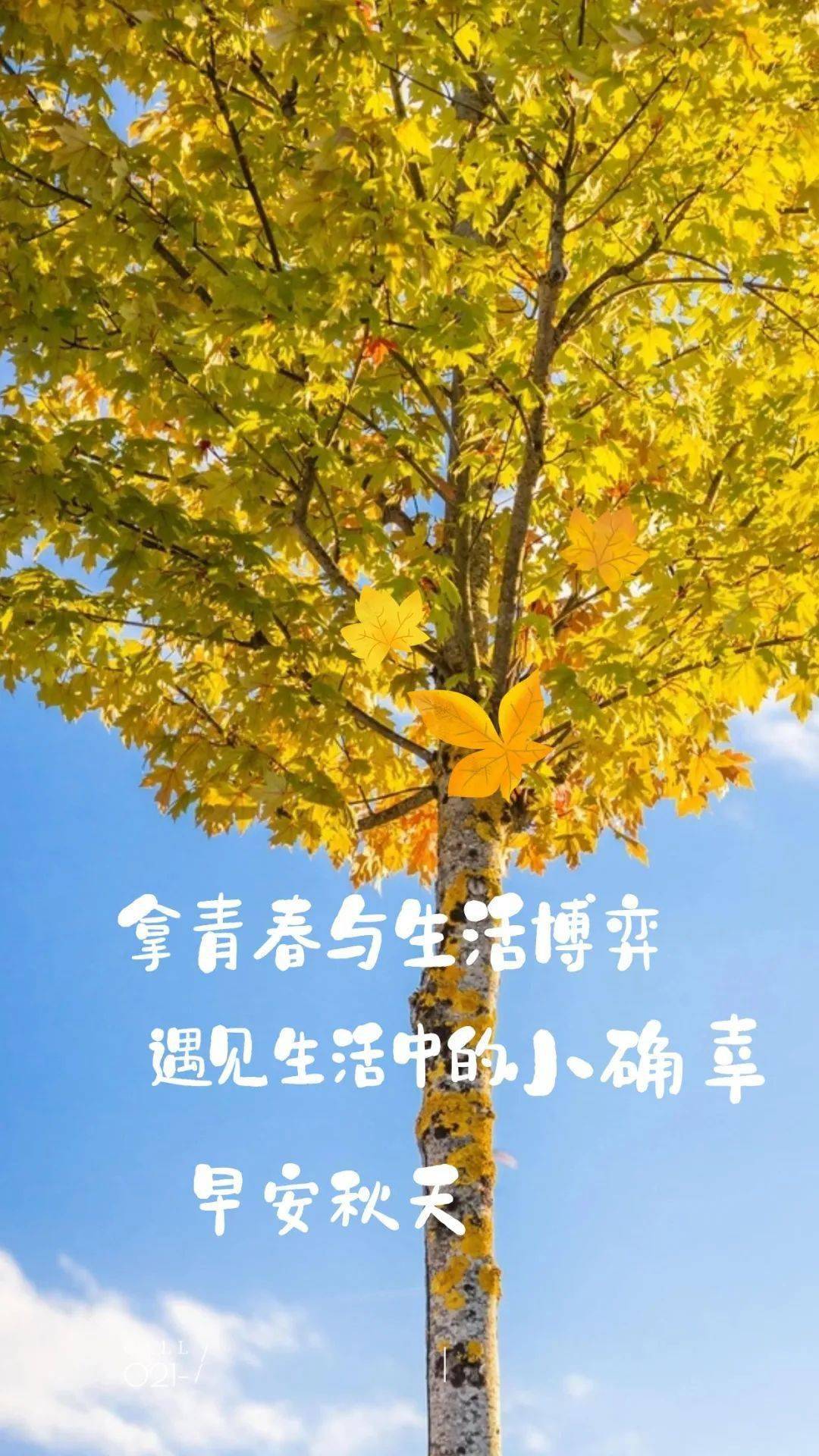 月年2023年_2022年4月13日_月日年还是日月年