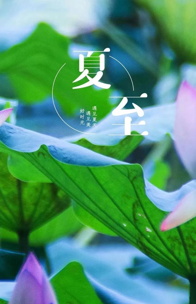 夏至年已过半_2022年夏至_夏至年端午